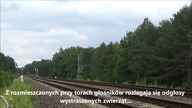 System odstraszania zwierząt w PKP