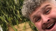 Konopki Dożynne Sandomingo LIVE