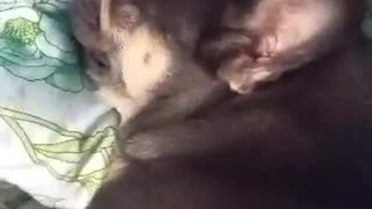 To najlepszy czas na odpoczynek.