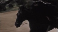 Zorro 1957 S01E06 "Zorro Saves a Friend" 