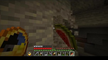 The inside of the wolf is interesting #game #minecraft #Short #Shorts #Bruh #Lmao #Absurd