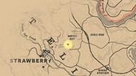 Red Dead Redemption 2Zlecenie na łowcę nagród z strawberry 17#