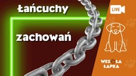 Łańcuchy zachowań