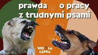 Prawda o pracy z trudnym psem