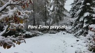 Zima