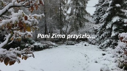 Zima