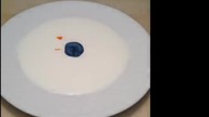 NEW VINES COMPILATION 2013