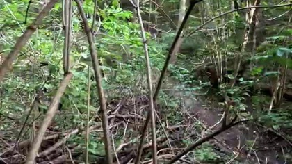 KTM E-XC Enduro GoPro 13