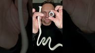 #iluzja #ściema #magia #wałek #magik #iluzjonista #magictrick #iluzjonistamaciejkozłowski