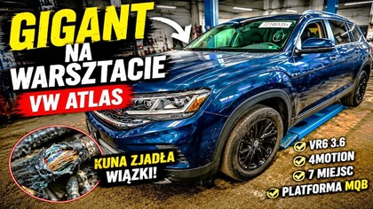  VW ATLAS VR6  GIGANT z USA na warsztacie! Kuna zjadła całą instalację 