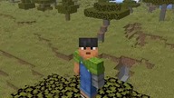 99% GRACZY MINECRAFT TO ROBIŁO...