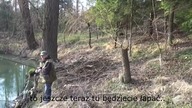 Szczupak zacięty za głowę i atak dziadka - wędkarstwo spinningowe