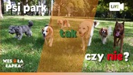 Psi park.  Tak, czy nie?