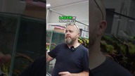 Nowa Aranżacja Ogrodu Zen