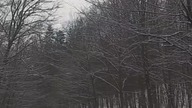 Blair Witch Project