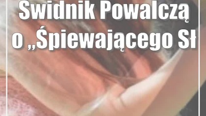 Świdnik: Powalczą o Śpiewającego Słowika