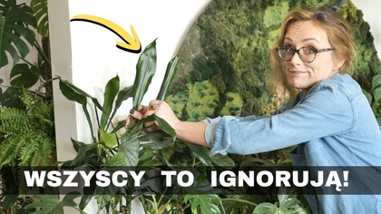 Najważniejsze co musisz wiedzieć o roslinach w domu