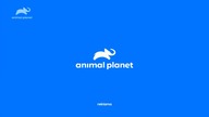 ANIMALPLANET - 01-02-2025 - Reklamy, Zapowiedzi