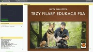 Trzy filary edukacji psa.  Jak uczyć psa.
