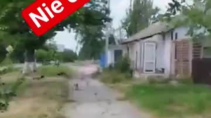 Nie cierpię psów! #autostop #travelvlog #śmieszne #memes #vlog #travel #podróże #dog #psy