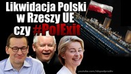 Likwidacja Polski w Rzeszy UE czy #PolExit? IDŹ POD PRĄD NA ŻYWO 2019.07.03