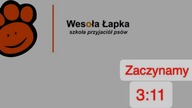 Live o bezpiecznej i niebezpiecznej zabawie z psem.