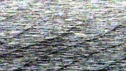 BeverlyHills 90 210 ..Bundy