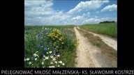 Jak pielęgnować miłość małżeńską   ks  Sławomir Kostrzewa
