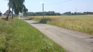 Polak potrafi