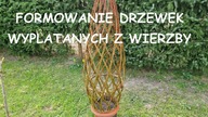  Formowanie drzewek wyplatanych z wierzby.  Naturalne formy ogrodowe.