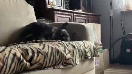 fe4285c5-a307-4d78-8b01-b3fa37076944