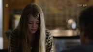 Gwiazdka pod psem (2014) [Lektor PL] - The Christmas Shepherd