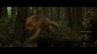 Wolf Shifters (Twilight) - Heart Guides The Way