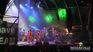 Femi Kuti - @ Rototom Sunsplash 2014
