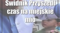 Świdnik: Przyszedł czas na miejskie miodobranie (foto)