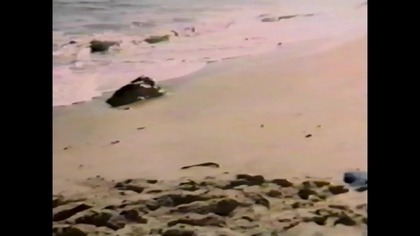 Młodzi Wojownicy.. . Bazar ... VID-1743608754416 (2)