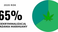 Polacy przeciw karaniu za posiadanie marihuany! Co na to Duda i Trzaskowski?
