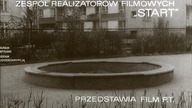 Pieczone gołąbki (1966)