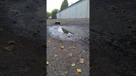 Rc Car AQUAPLANING