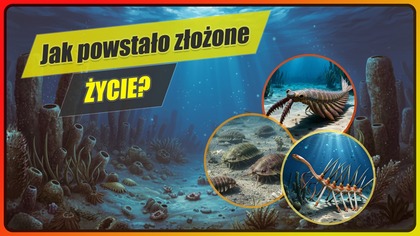 Kambr - eksplozja kambryjska, pierwsze duże drapieżniki - Historia Ziemi #6