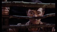 Old. Yeller. Ż&oacute;łte. psisko. 1957. Lektor.pl