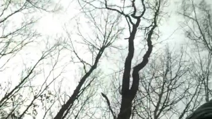 Las, Rubik i Walentynkowa Pogadanka! Sarmata na szlaku! Q&A z lasu - szukamy zimy i śniegu! Mróz!