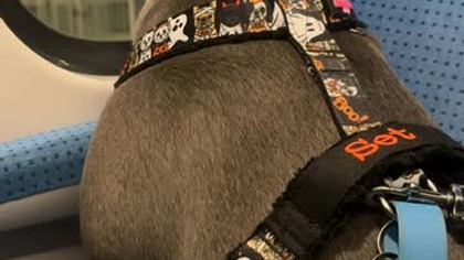 Wreszcie, miejsce leżące przy oknie.