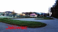 Jałowiec.  Beskid Makowski