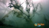 Jegocin - odkrywanie nowych miejsc nurkowych w Polsce - Best Divers