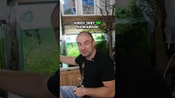 Mój fishroom - prawie 20 zbiorników roślinnych 