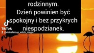 Śmiech i marzenia są sekretem lepszego życia  Co za dzień #tarot #tarotczytanie