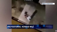NIELEGALNY IMIGRANT Z MACZETĄ W POZNANIU