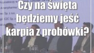 Czy na święta będziemy jeść karpia z probówki?