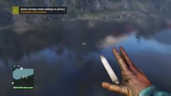 FarCry 4 6